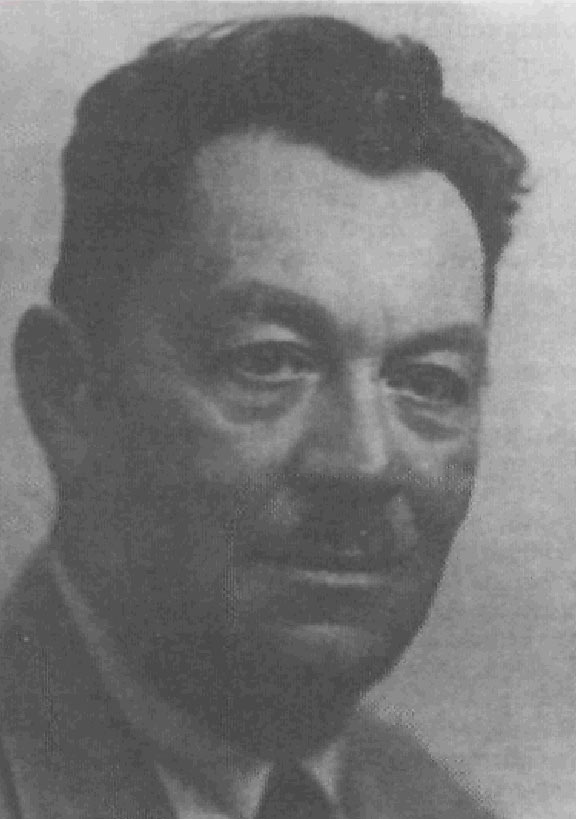 Nicolae Dunareanu