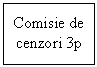 Text Box: Comisie de
cenzori 3p
