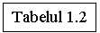 Text Box: Tabelul 1.2