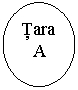 Oval: Tara
A
