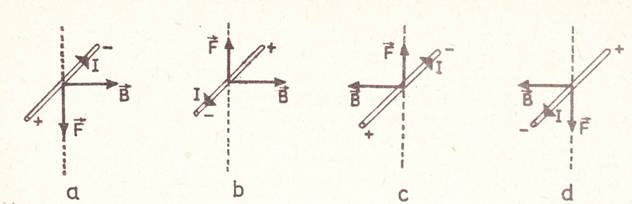 IMG-fig5.jpg