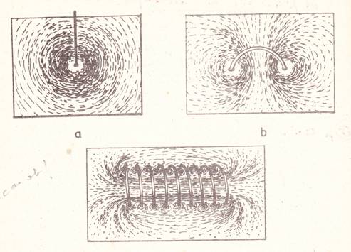 IMG-Fig1.jpg