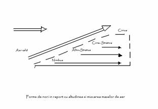 Forme de nori