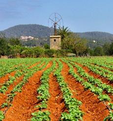 Agricultura