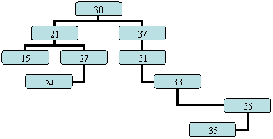 Organization Chart