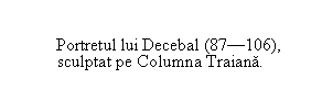 Text Box: Portretul lui Decebal (87-106),
sculptat pe Columna Traiana.

