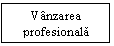 Text Box: Vanzarea profesionala

