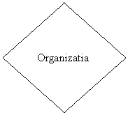 Diamond: Organizatia

