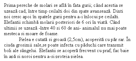 Text Box: Prima pereche de molari se afla in fata gurii; cand acestia se uzeaza cad; intre timp ceilalti doi din spate avanseaza. Dinti noi cresc apoi in spatele gurii pentru a-i inlocui pe ceilalti. Elefantii schimba molarii posteriori de 6 ori in viata. Cand ultimii se uzeaza -intre 40 si 60 de ani- animalul nu mai poate mesteca si moare de foame.
 Pielea e cutata si groasa (2,5cm), acoperita cu par rar. In ciuda grosimii sale,se poate infecta cu paduchi care transmit boli ale sangelui. Elefantii se acopera frecvent cu praf, fac baie in apa si noroi pentru a-si proteja pielea.
