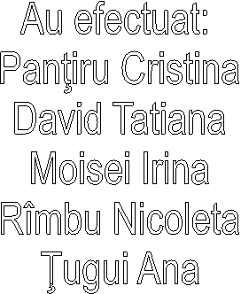 Au efectuat: 
Pantiru Cristina
David Tatiana
Moisei Irina
Rimbu Nicoleta
Tugui Ana