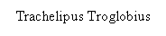 Text Box: Trachelipus Troglobius