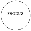 Oval: PRODUS
