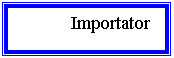 Text Box:       Importator