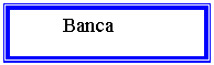 Text Box:    Banca exportator