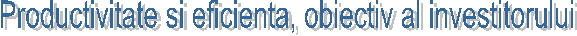 Productivitate si eficienta, obiectiv al investitorului