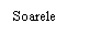 Text Box: Soarele