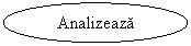 Oval: Analizeaza