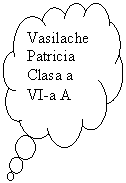 Cloud Callout: Vasilache
Patricia
Clasa a VI-a A

