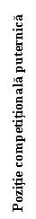 Text Box: Pozitie competitionala puternica
