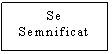 Text Box: Se
Semnificat

