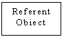 Text Box: Referent
Obiect
