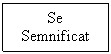 Text Box: Se
Semnificat

