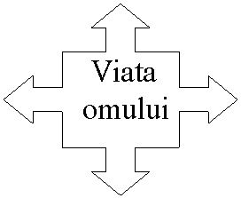 Quad Arrow Callout:    Viata        
  omului     
